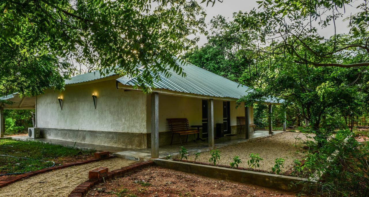 Rangiri Dambulla Resort Экстерьер фото